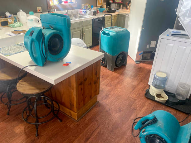 Local water damage restoration in Tacoma, WA