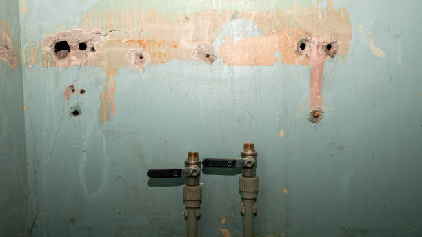 Best Residential water damage restoration  in Tacoma, WA