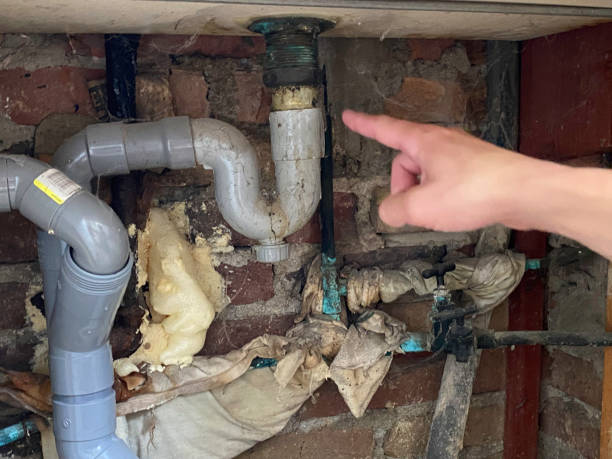 Best Flood restoration services  in Tacoma, WA